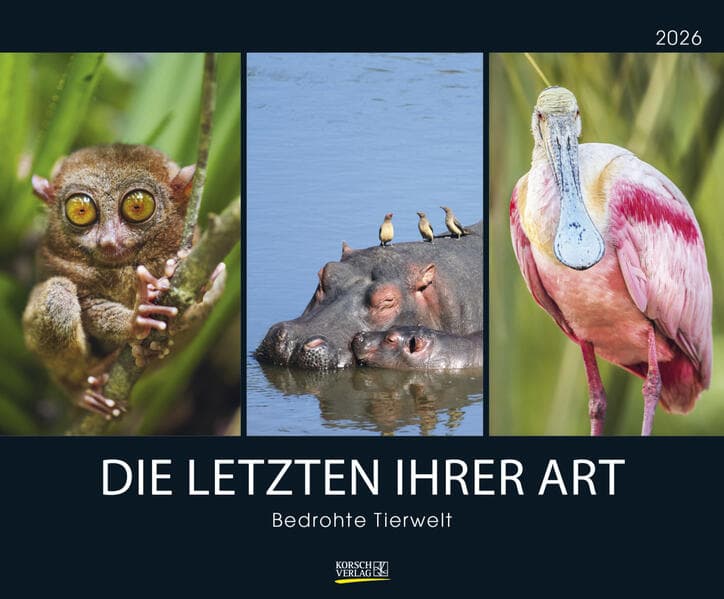 Bedrohte Tierwelt 2026