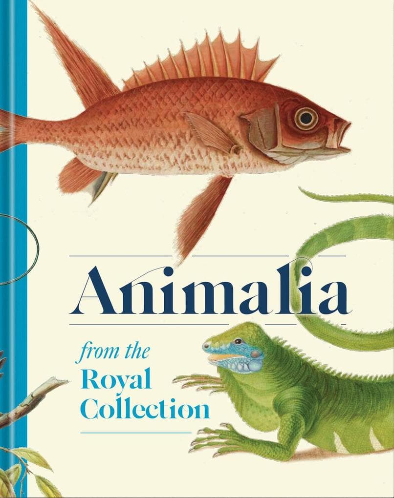 Animalia