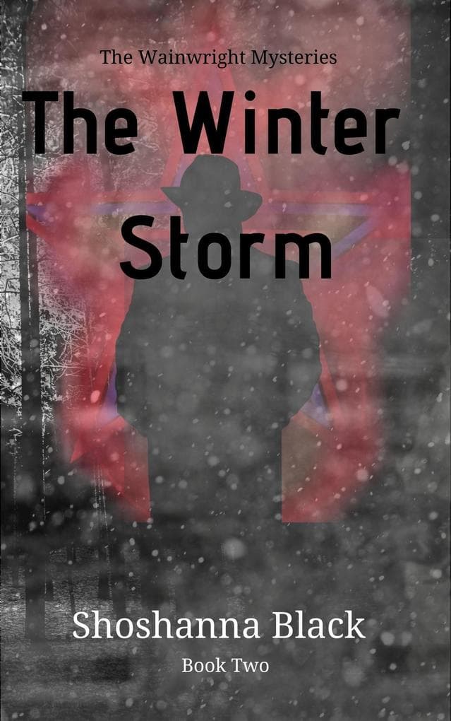 The Winter Storm (Wainwright Mysteries, #2)