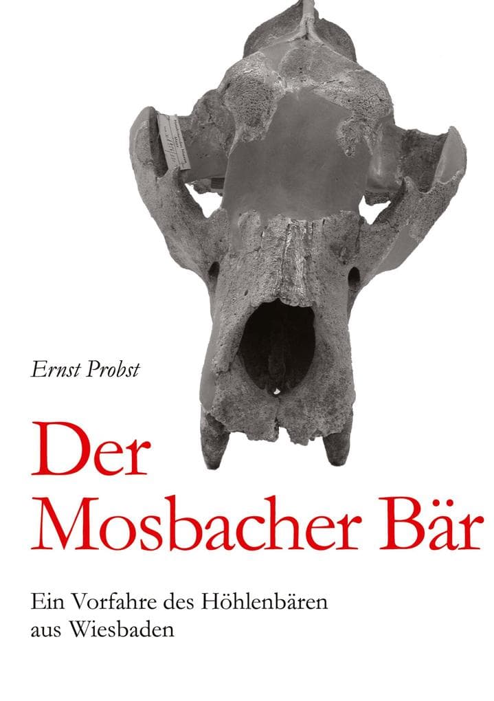 Der Mosbacher Bär