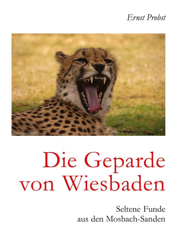 Die Geparde von Wiesbaden