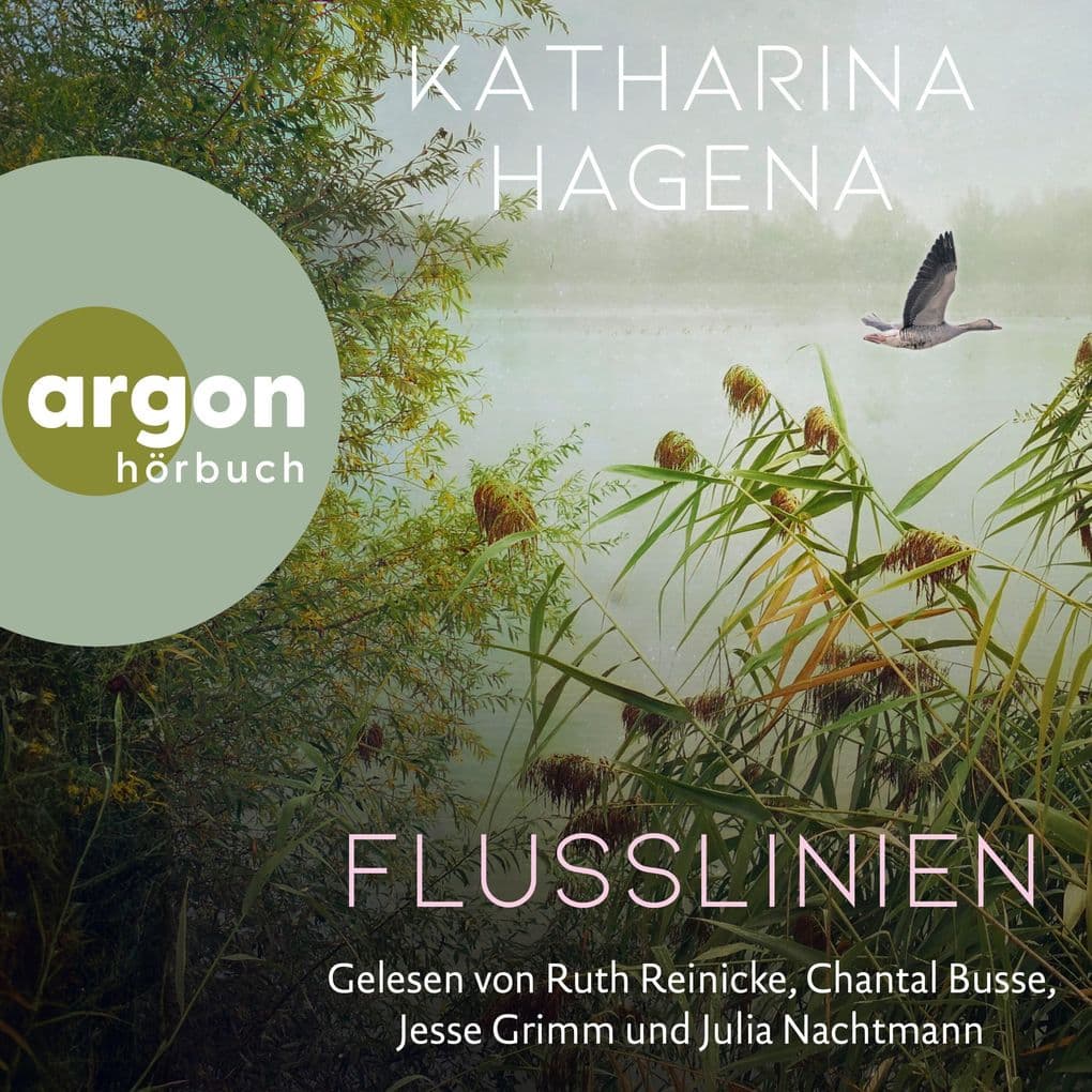 Flusslinien
