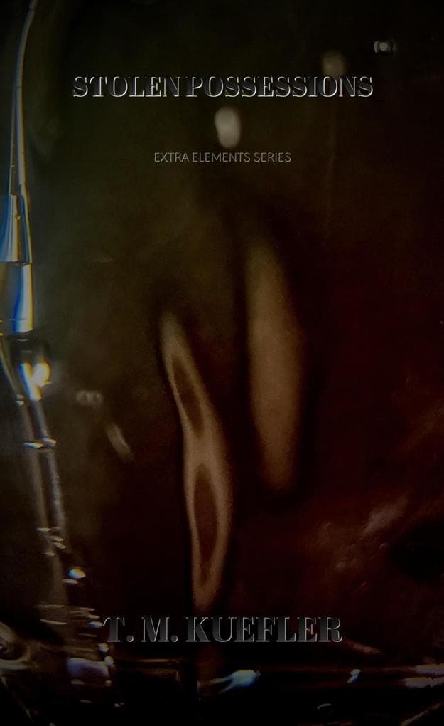 Stolen Possessions (Extra Elements Series, #26)