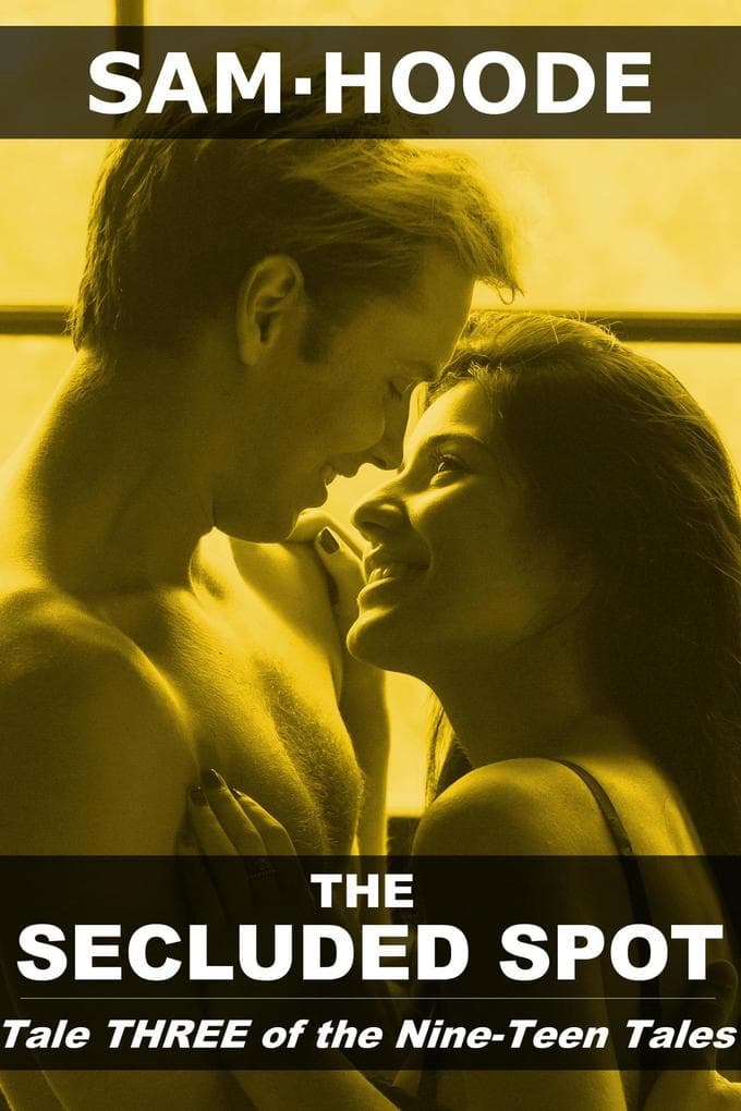 The Secluded Spot (Nine-Teen Tales, #3)