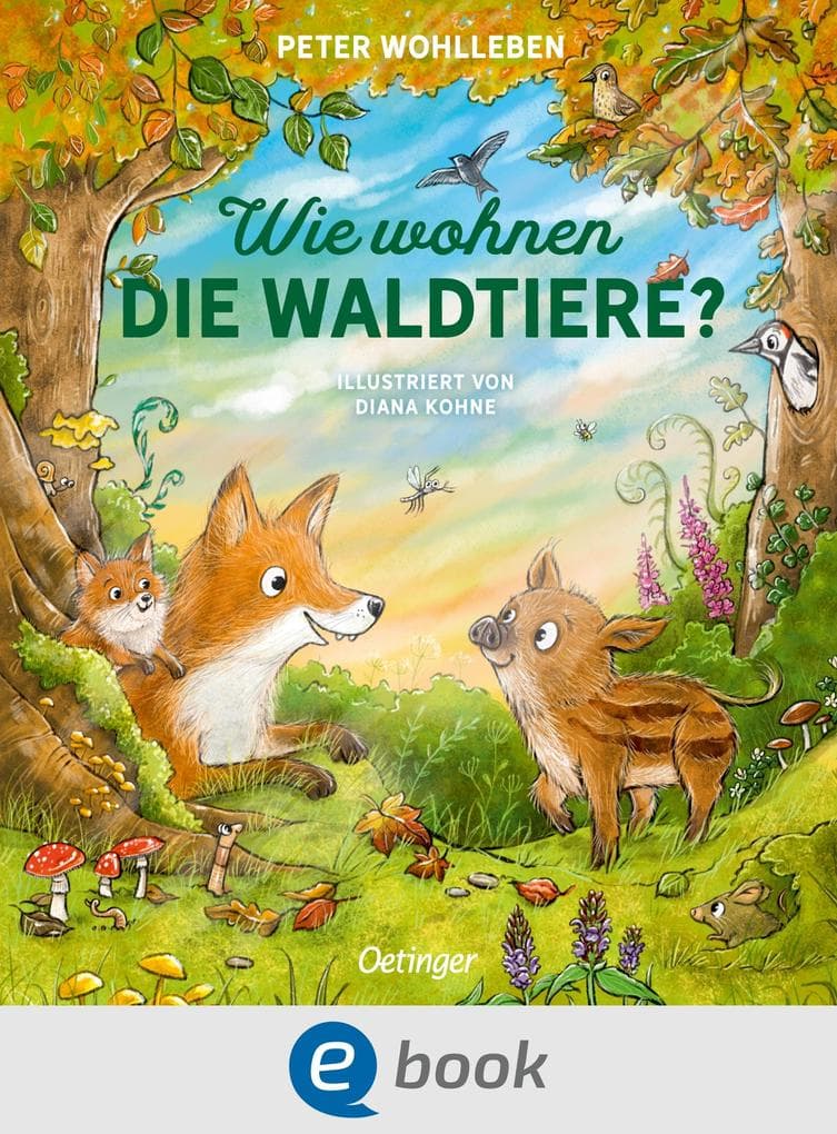Wie wohnen die Waldtiere?