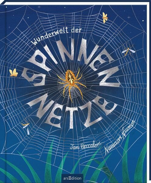 Wunderwelt der Spinnennetze