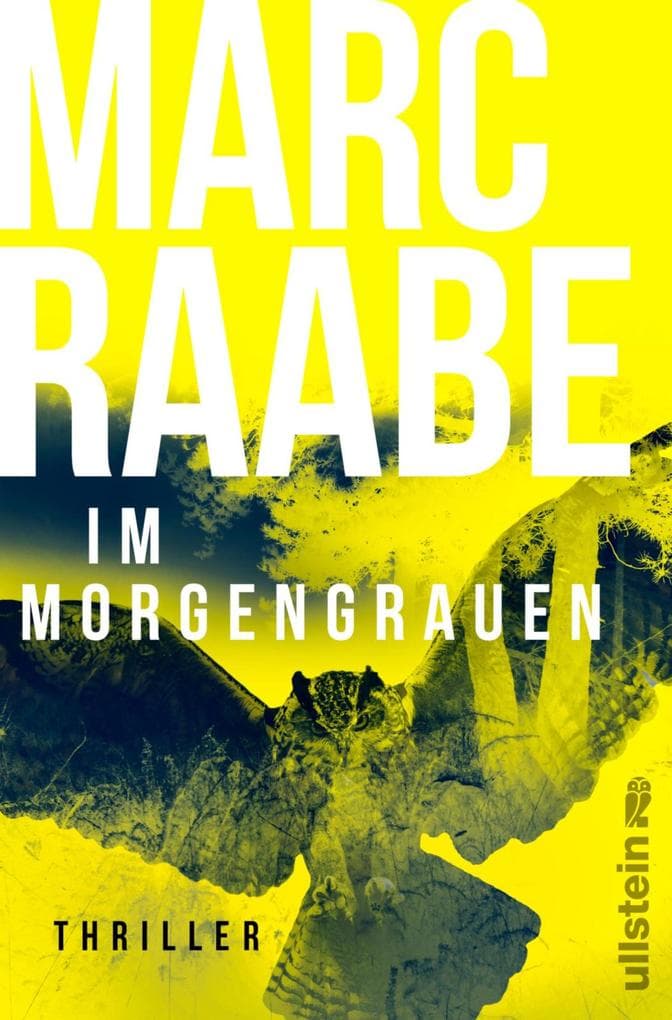 Im Morgengrauen
