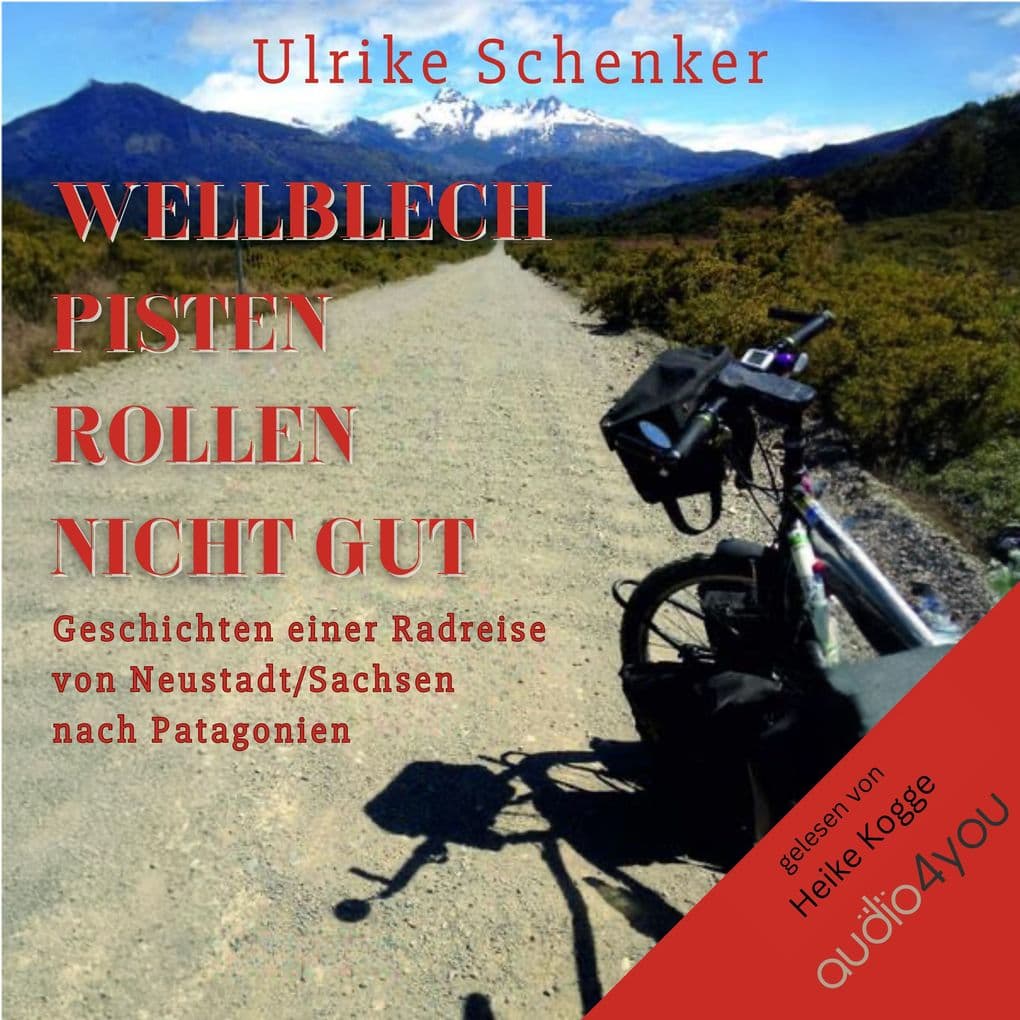 Wellblechpisten rollen nicht gut: Geschichten einer Radreise von Neustadt/Sachsen nach Patagonien