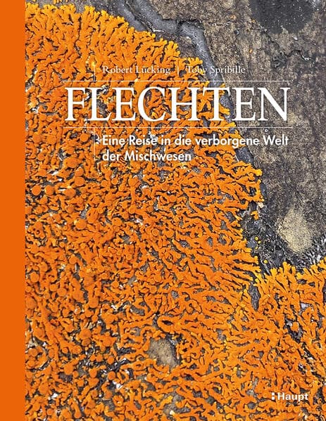 Flechten