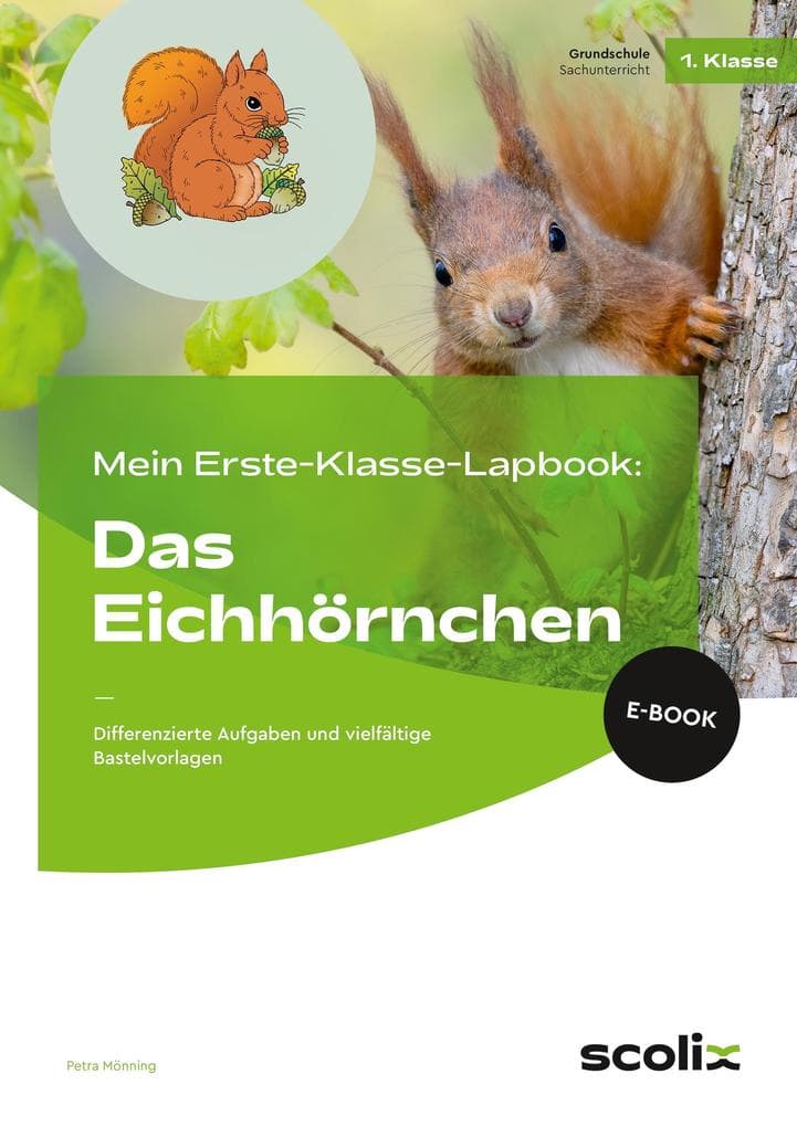 Mein Erste-Klasse-Lapbook: Das Eichhörnchen