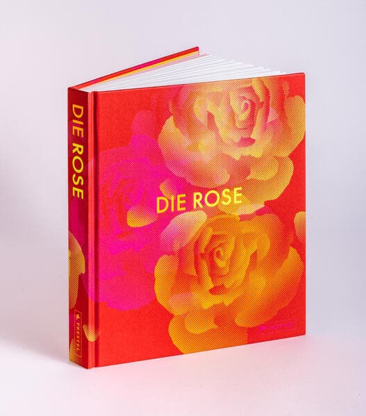 Die Rose
