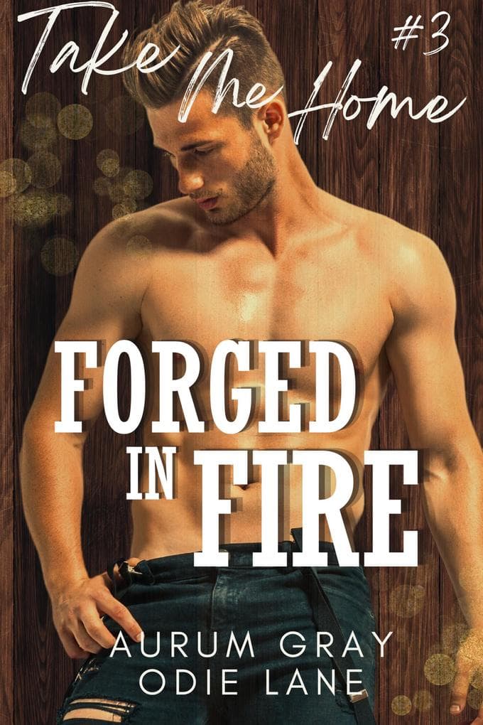 Forged in Fire (Take Me Home, #3)