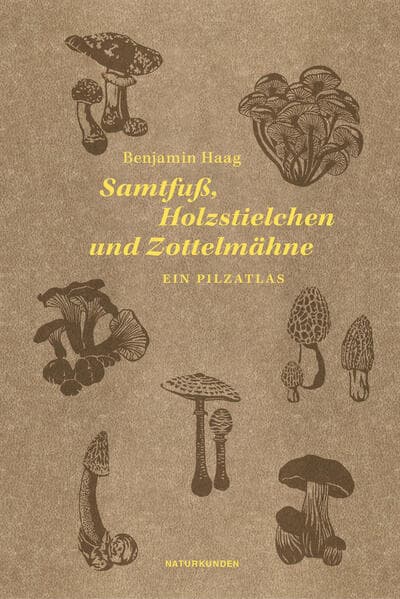 Samtfuß, Holzstielchen und Zottelmähne