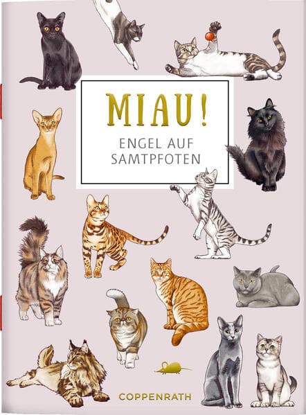MIAU - Engel auf Samtpfoten