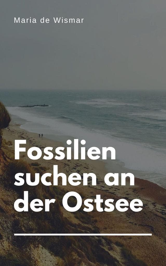 Fossilien suchen an der Ostsee