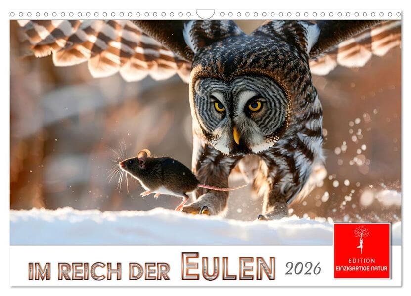 Im Reich der Eulen (Wandkalender 2026 DIN A3 quer), CALVENDO Monatskalender
