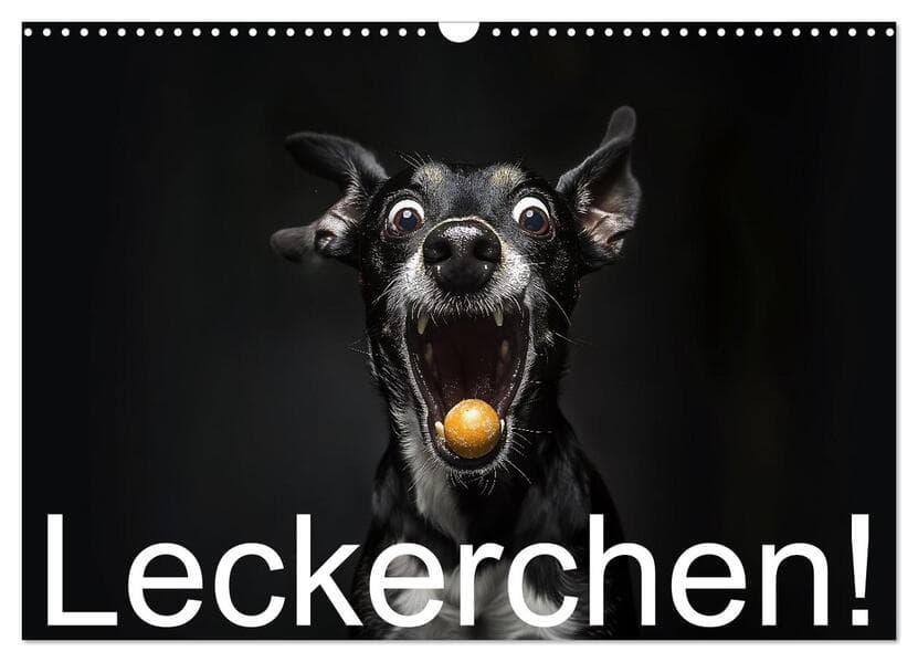 Leckerchen! (Wandkalender 2026 DIN A3 quer), CALVENDO Monatskalender