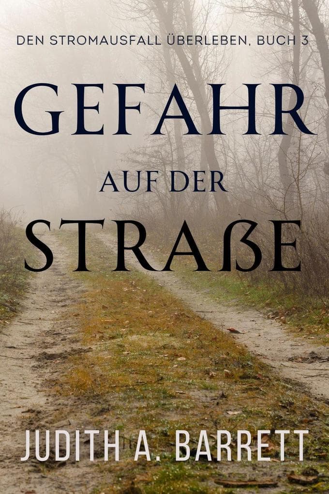 Gefahr auf der Straße (Den Stromausfall Überleben, #3)