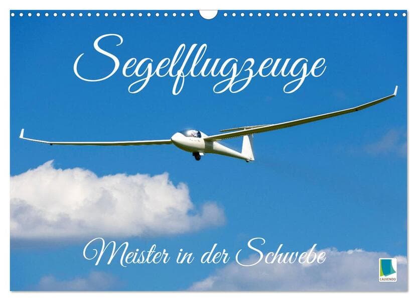 Meister in der Schwebe: Segelflugzeuge (Wandkalender 2026 DIN A3 quer), CALVENDO Monatskalender