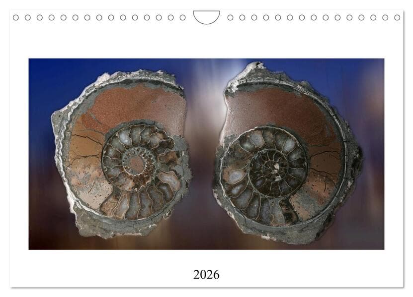 Versteinerte Welt (Wandkalender 2026 DIN A4 quer), CALVENDO Monatskalender