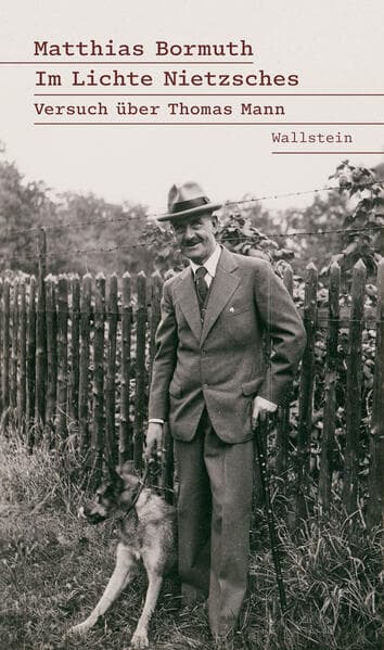 Im Lichte Nietzsches