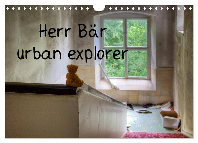 Herr Bär urban explorer (Wandkalender 2026 DIN A4 quer), CALVENDO Monatskalender