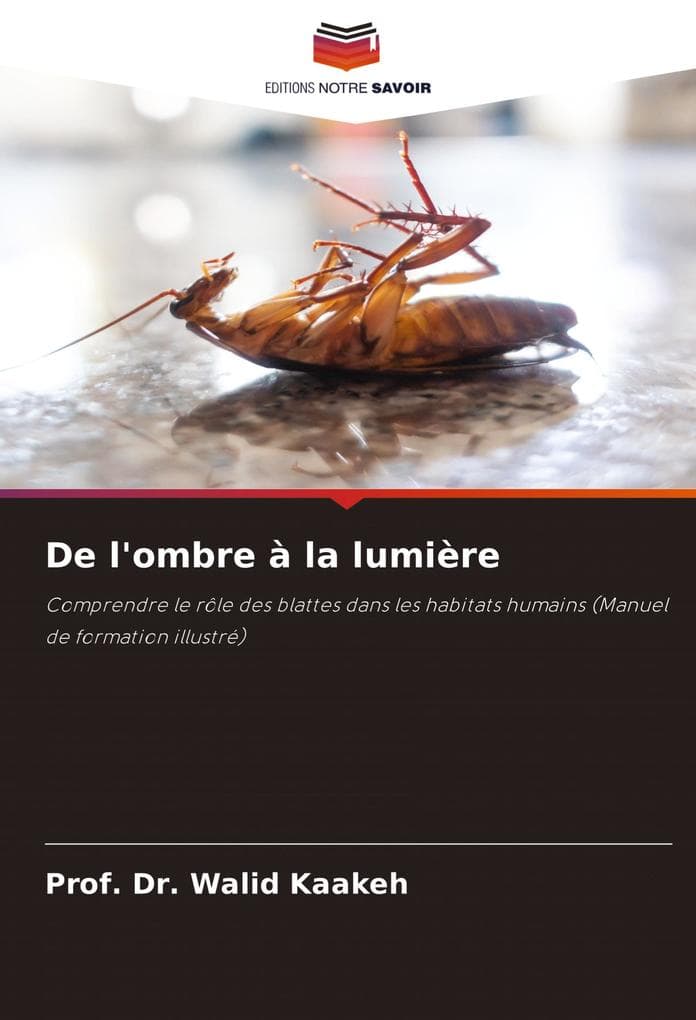 De l'ombre à la lumière