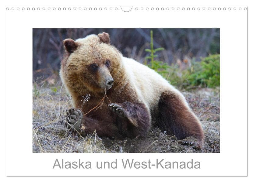 Alaska und West-Kanada (Wandkalender 2026 DIN A3 quer), CALVENDO Monatskalender