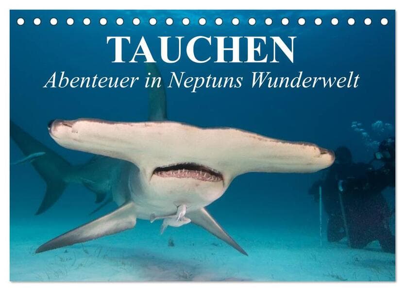 Tauchen - Abenteuer in Neptuns Wunderwelt (Tischkalender 2026 DIN A5 quer), CALVENDO Monatskalender