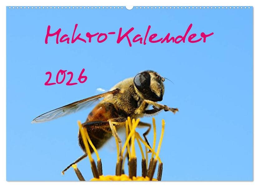 Makro-Kalender 2026 (Wandkalender 2026 DIN A2 quer), CALVENDO Monatskalender