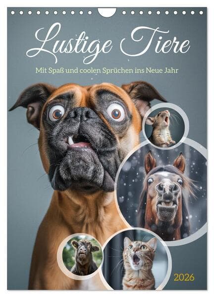 Lustige Tiere (Wandkalender 2026 DIN A4 hoch), CALVENDO Monatskalender