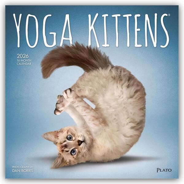 Yoga Kittens - Kätzchen Yoga 2026 - 16-Monatskalender