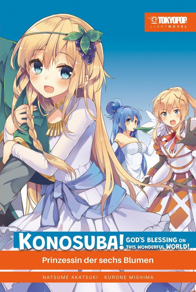KONOSUBA! GOD'S BLESSING ON THIS WONDERFUL WORLD! - Light Novel 06