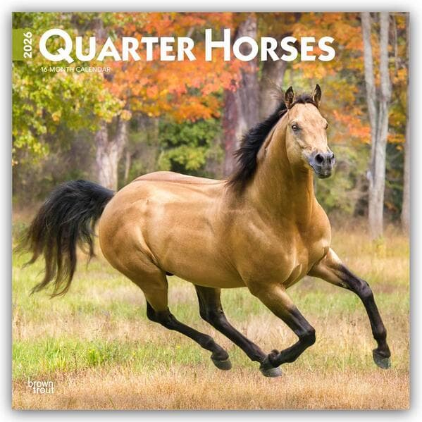 Quarter Horses 2026 12 X 24 Inch (Hanging) Monthly Square Wall Calendar Plastic-Free