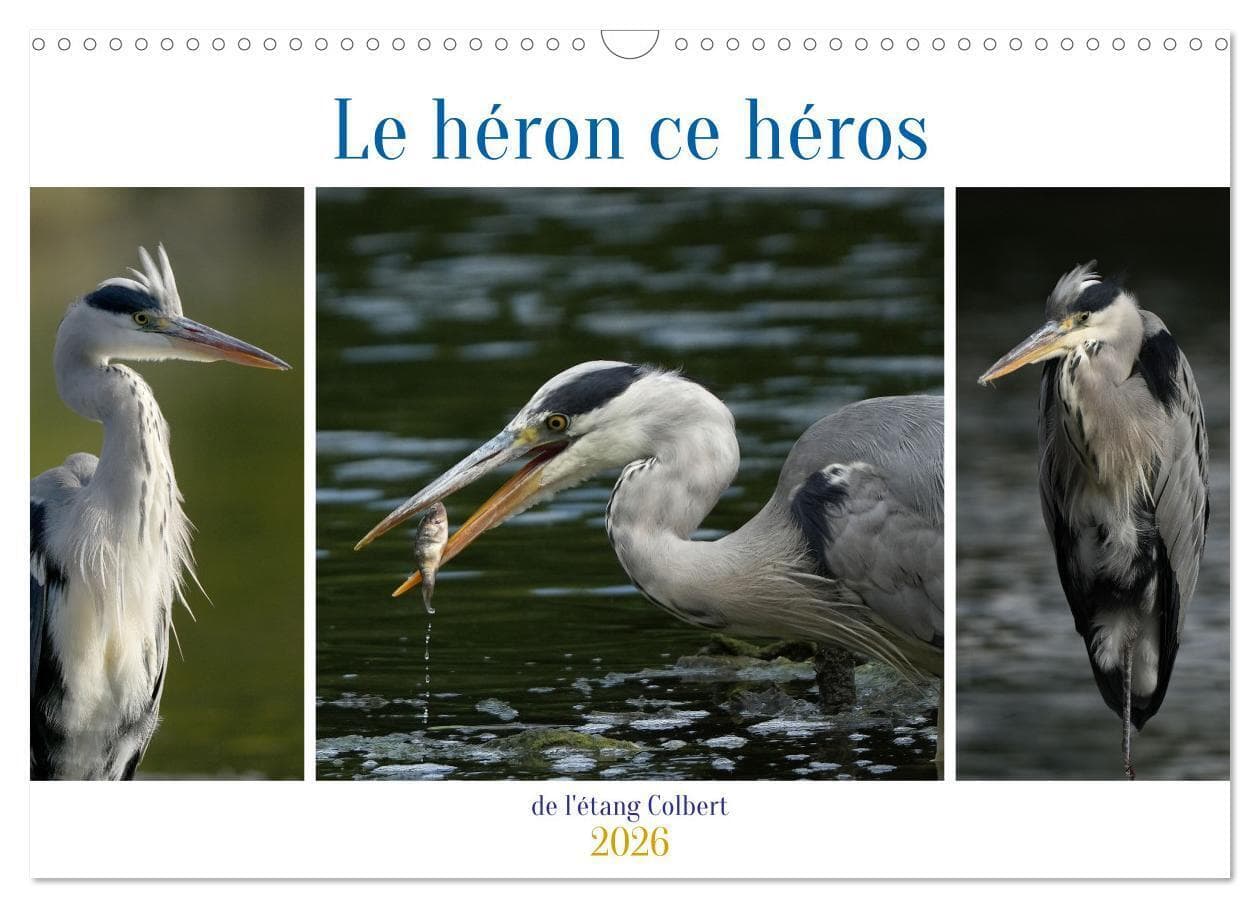 Le héron ce héros de l'étang Colbert (Calendrier mural 2026 DIN A3 vertical), CALVENDO calendrier mensuel