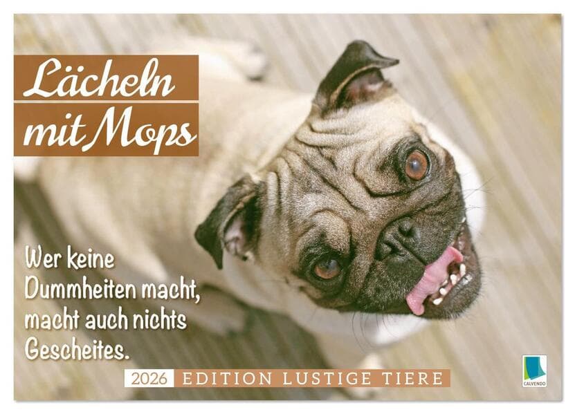 Lächeln mit Mops (Wandkalender 2026 DIN A4 quer), CALVENDO Monatskalender
