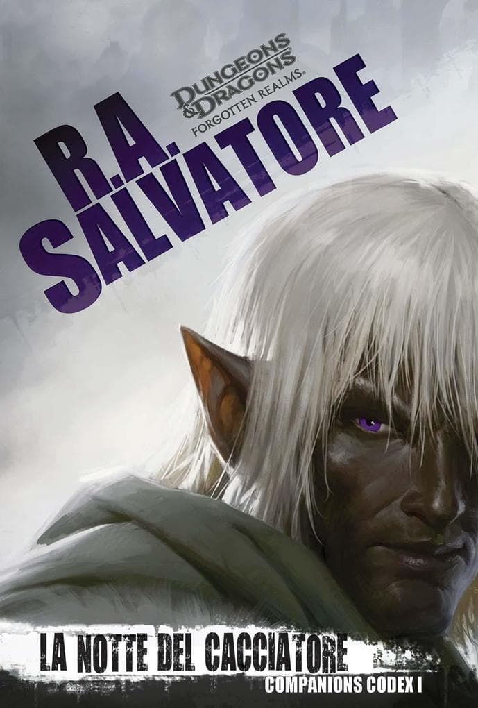 La leggenda di Drizzt 28
