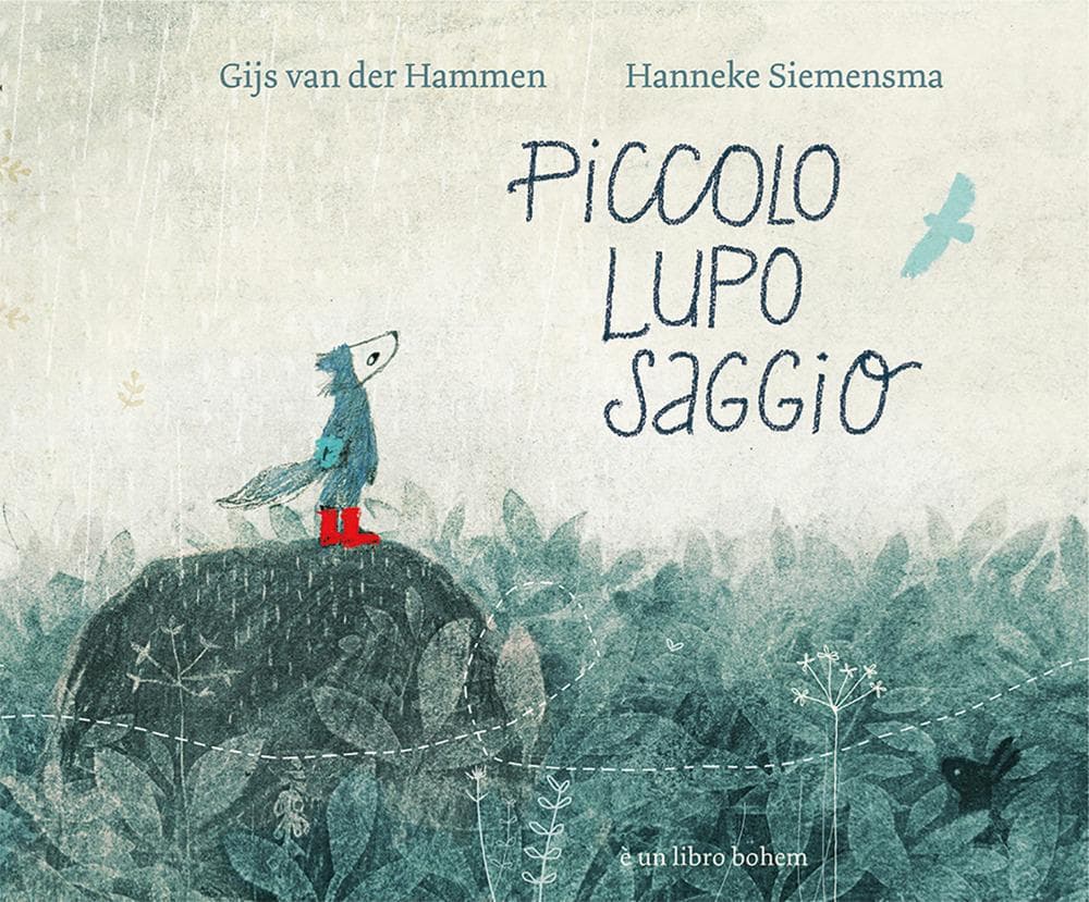 Piccolo lupo saggio