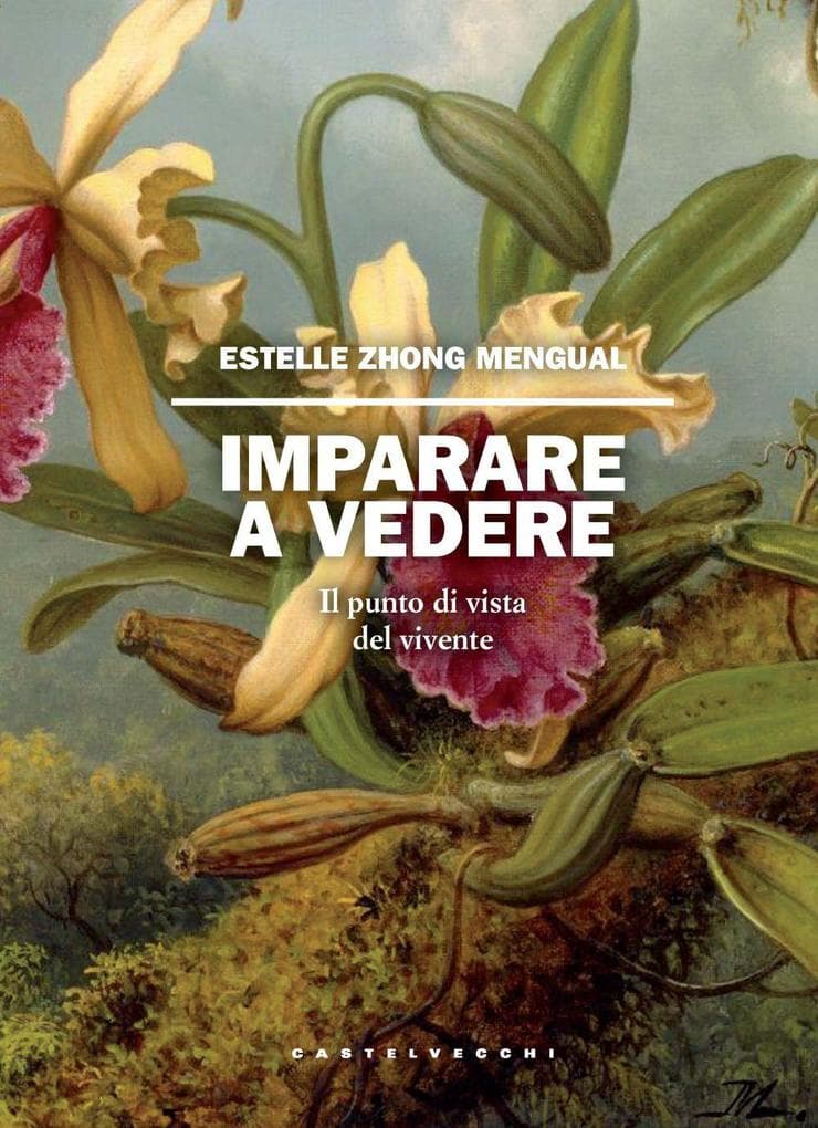 Imparare a vedere. Il punto di vista del vivente