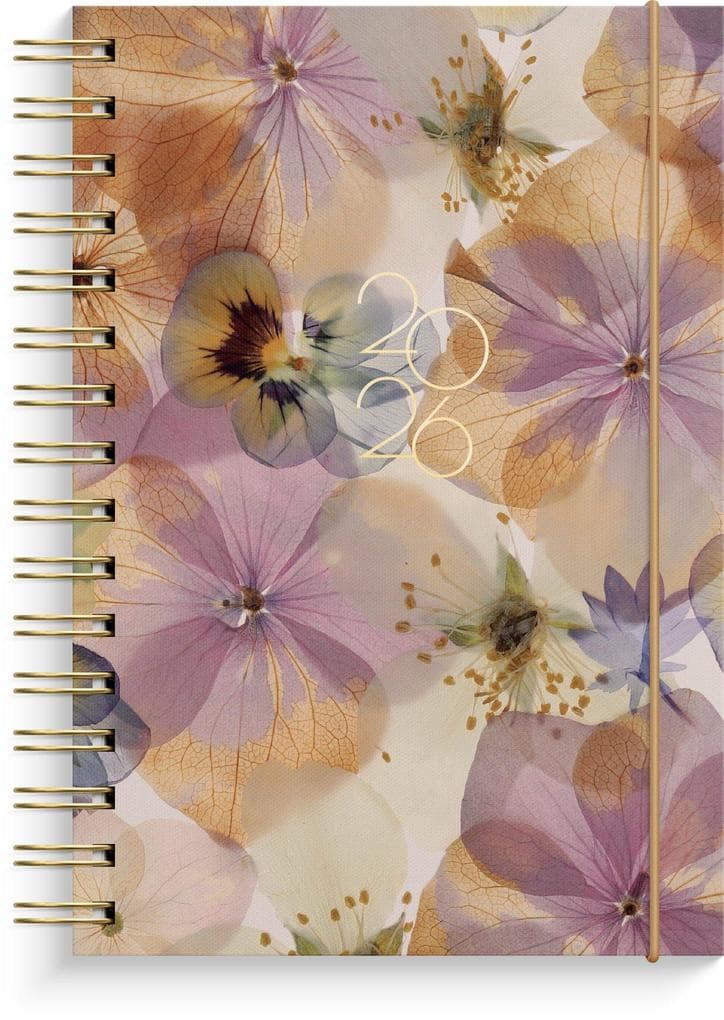 Burde Agenda Tagesplaner Story Stiefmütterchen 2026