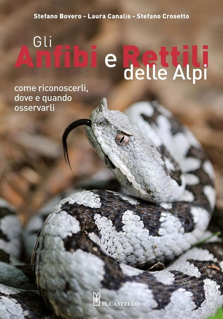 Gli anfibi e rettili delle Alpi. Come riconoscerli, dove e quando osservarli