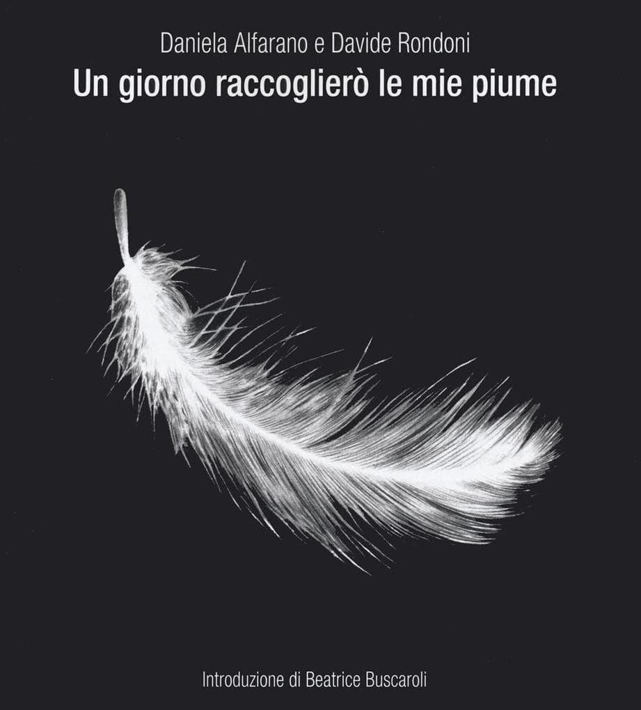 Un giorno raccoglierò le mie piume