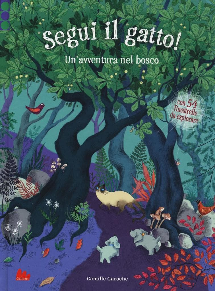 Segui il gatto! Un'avventura nel bosco