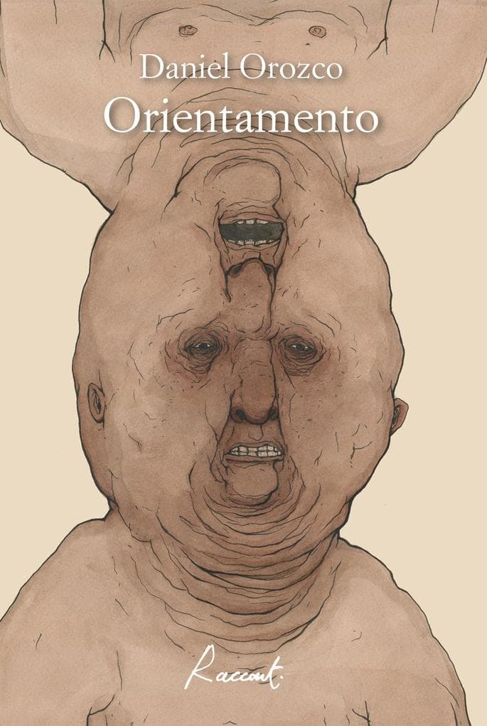 Orientamento