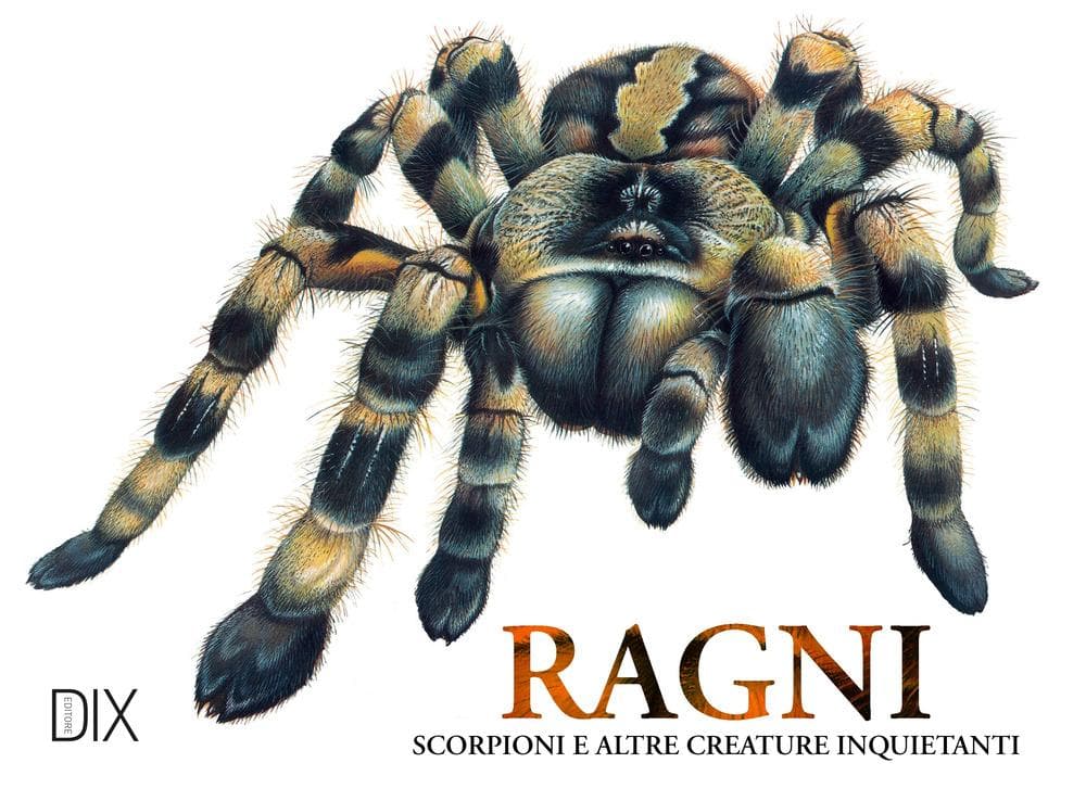 Ragni, scorpioni e altre creature spaventose