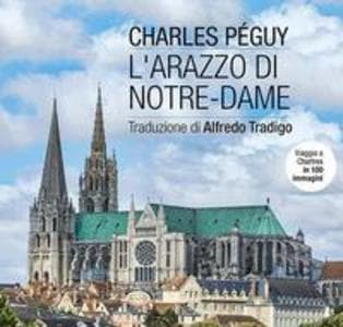 L' arazzo di Notre-Dame. Viaggio a Chartres in 100 immagini