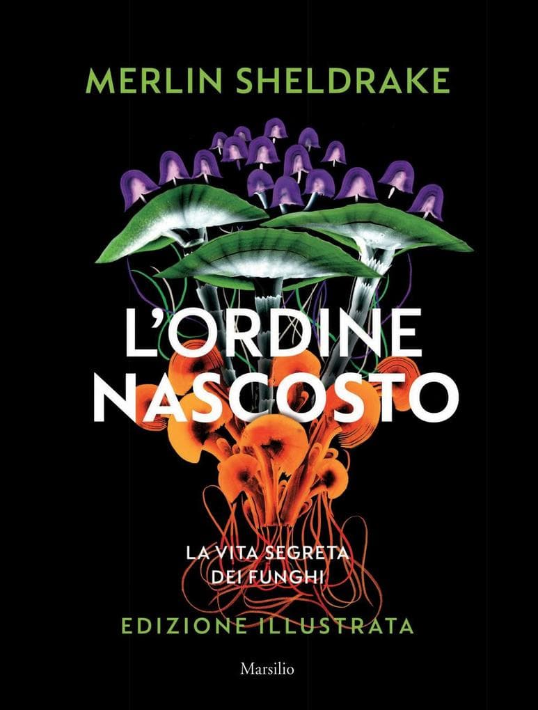 L' ordine nascosto