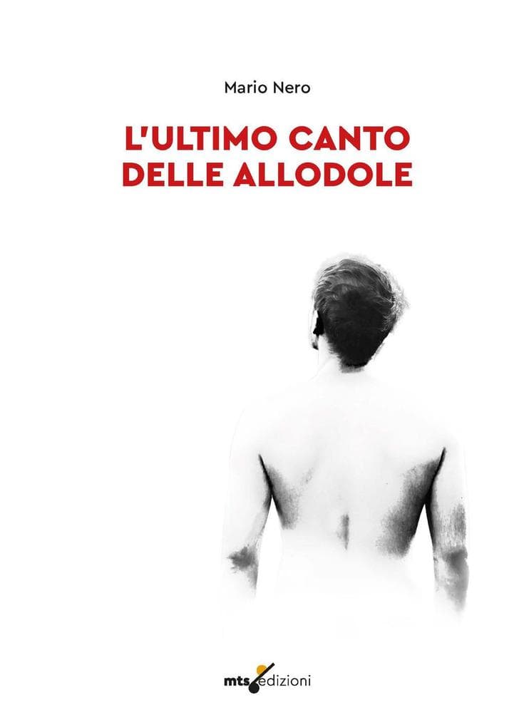 L' ultimo canto delle allodole