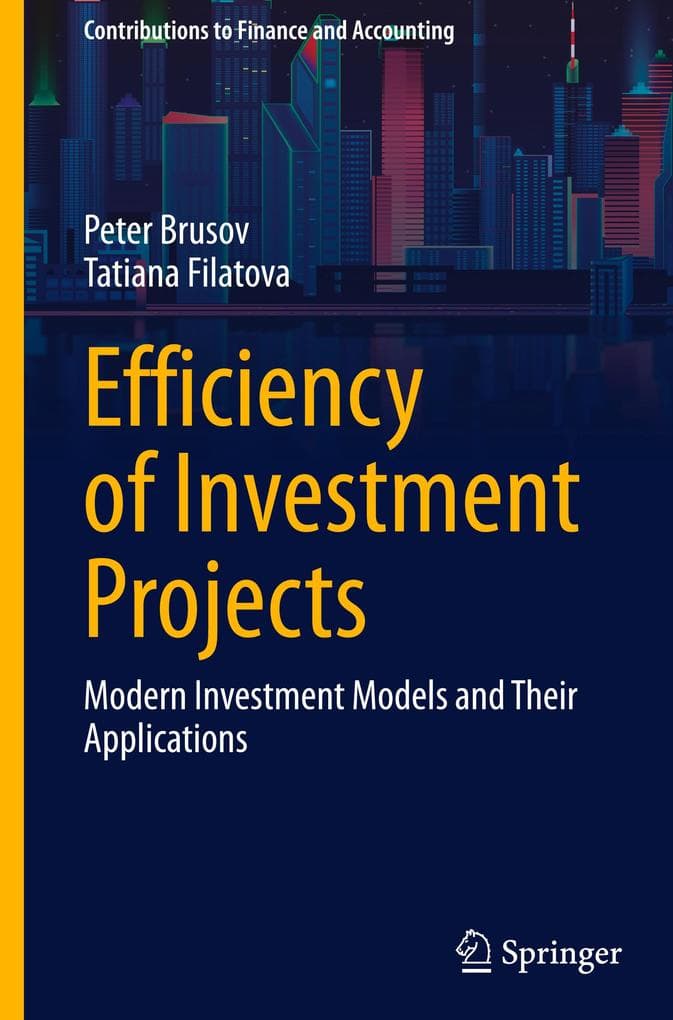 Efficiency of Investment Projects