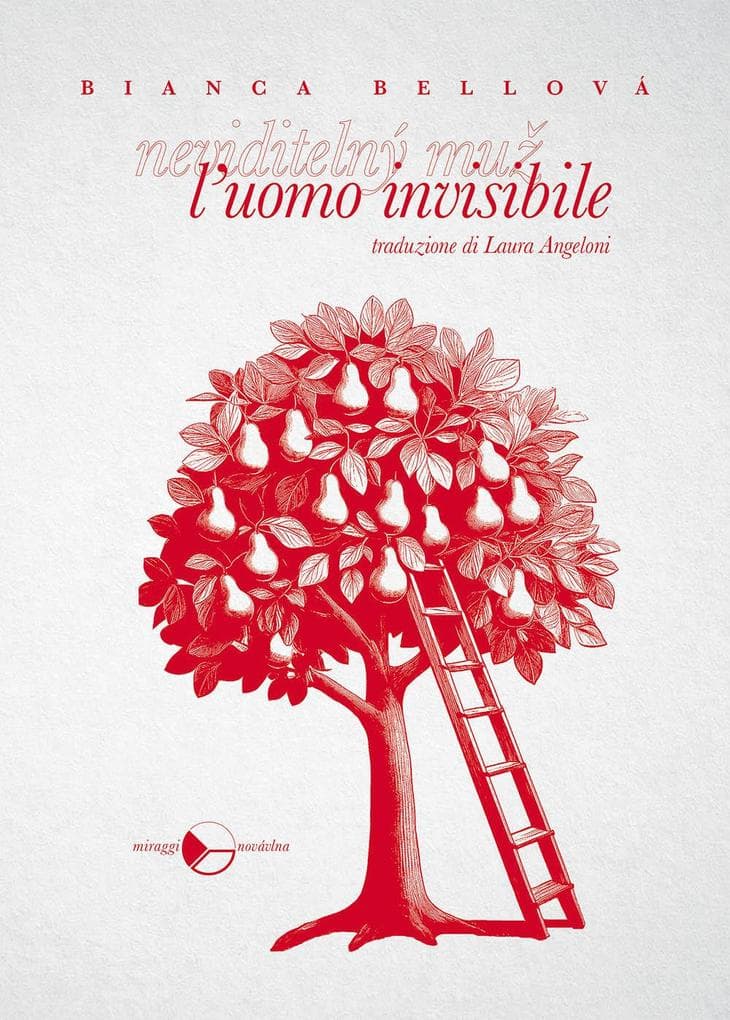 L' uomo invisibile